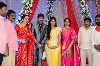 Gopichand Malineni Wedding Reception Gallery